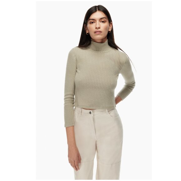 Aritzia Tops - Aritzia Wilfred Free Tamu Ribbed Turtleneck